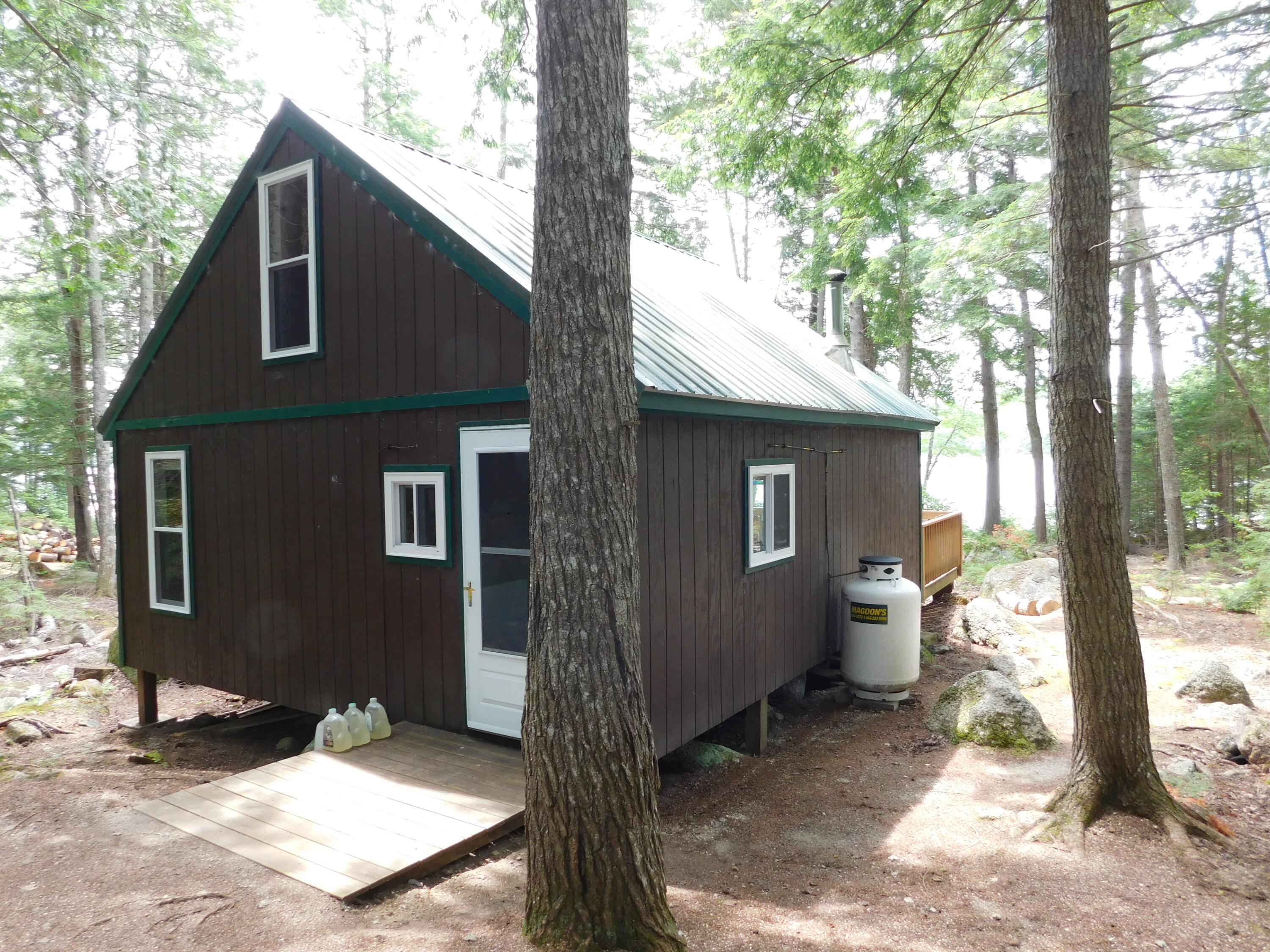 Lot 10 Lot Road Aurora, ME 04408 - Photo 53 of 53 DSCN8771
