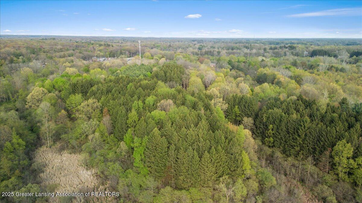 4433 Van Atta Road Okemos, MI 48864 - Photo 17 of 18 09-Media Jett - 06