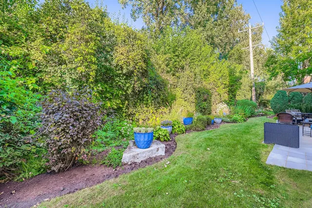 a view of a backyard with plants and a garden