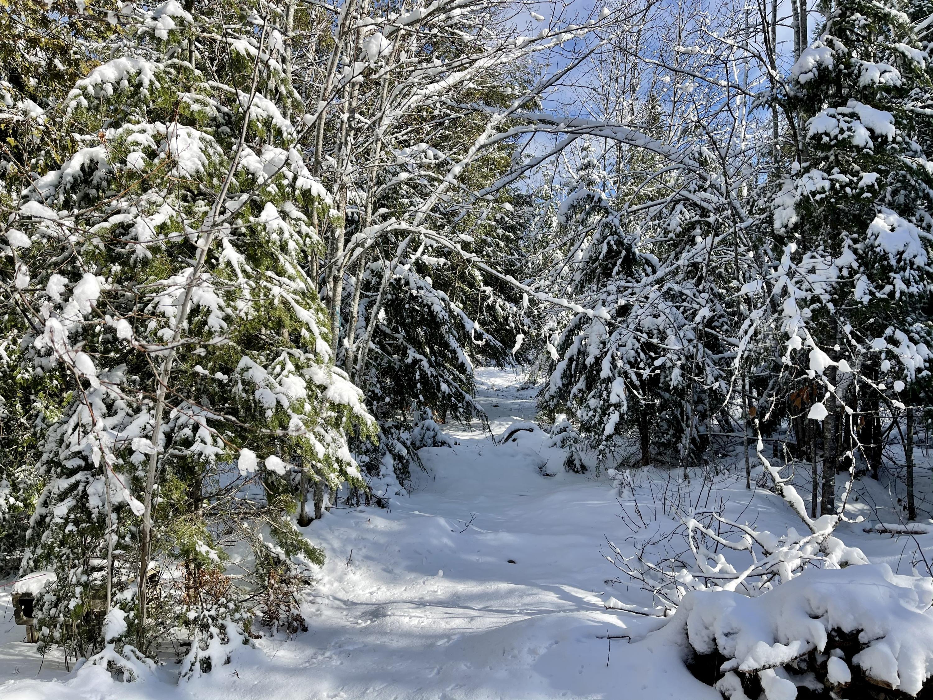 457 Howland Road Lagrange, ME 04453 - Photo 14 of 15 6C79B0E3-BBED-495D-A948-98375AD98235