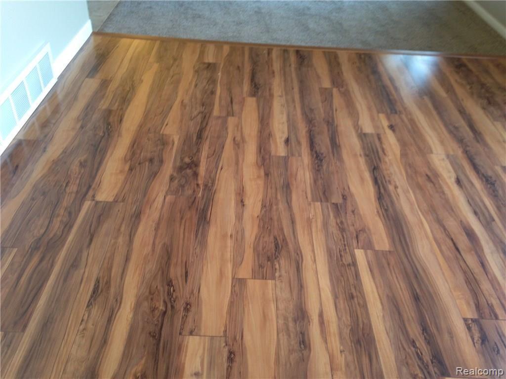 1045 North Kane Road Webberville, MI 48892 - Photo 9 of 48