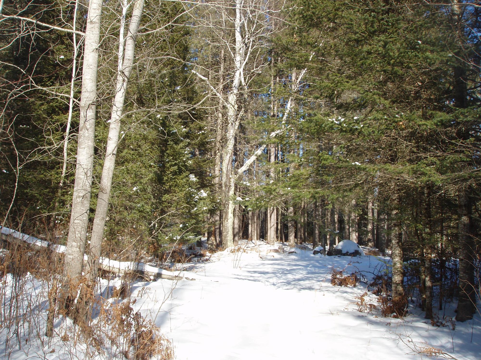79879 Hinz Road Glidden, WI 54527 - Photo 22 of 37 Gallery Image 22