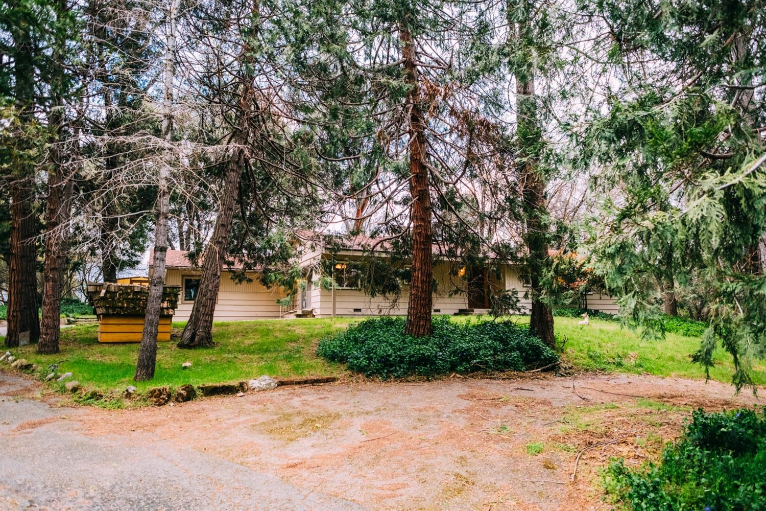 39535 Pine Ridge Road Oakhurst, CA 93644 - Photo 7 of 10 Gallery Image 7