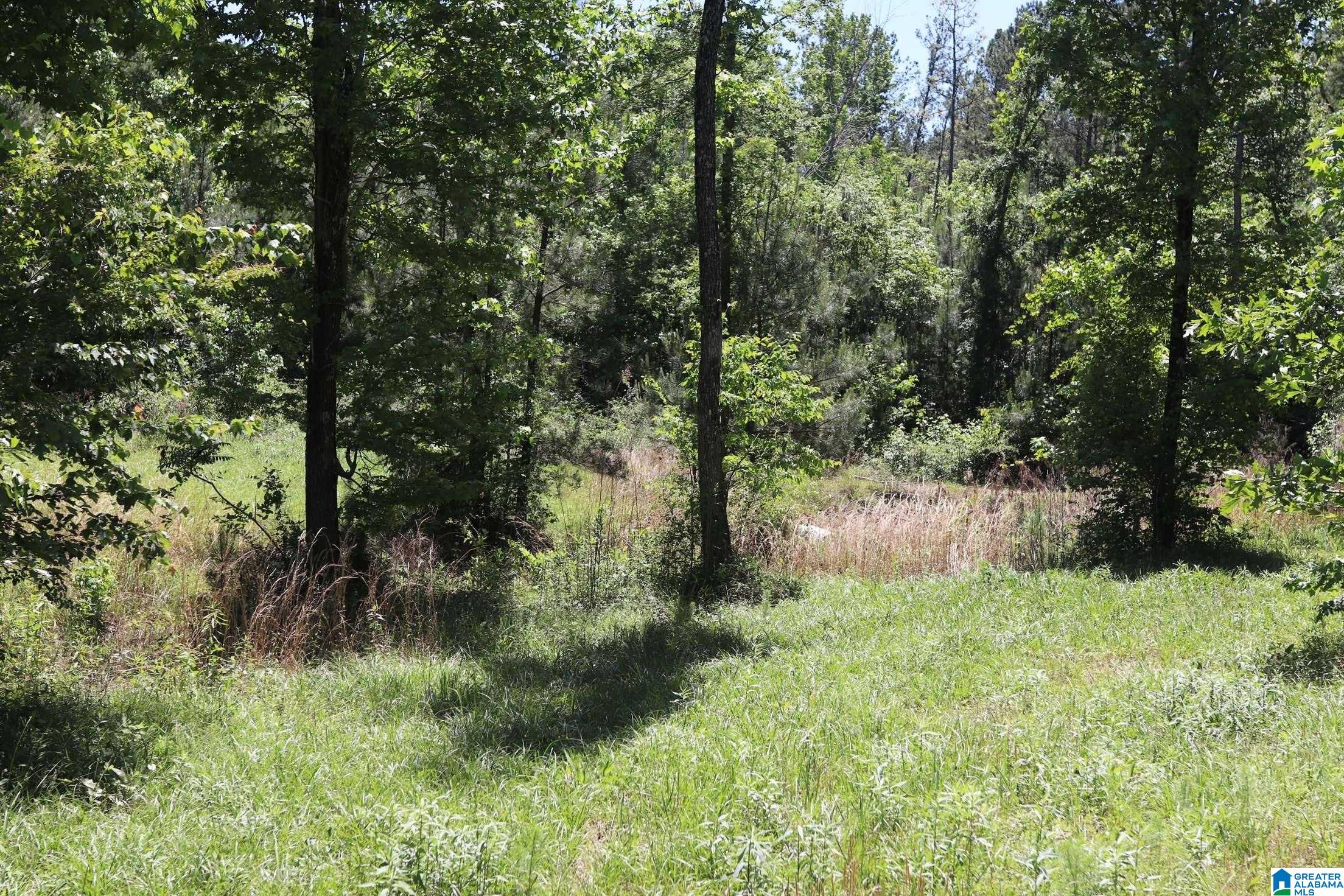 2930 Shocco Springs Road Talladega, AL 35160 - Photo 2 of 93