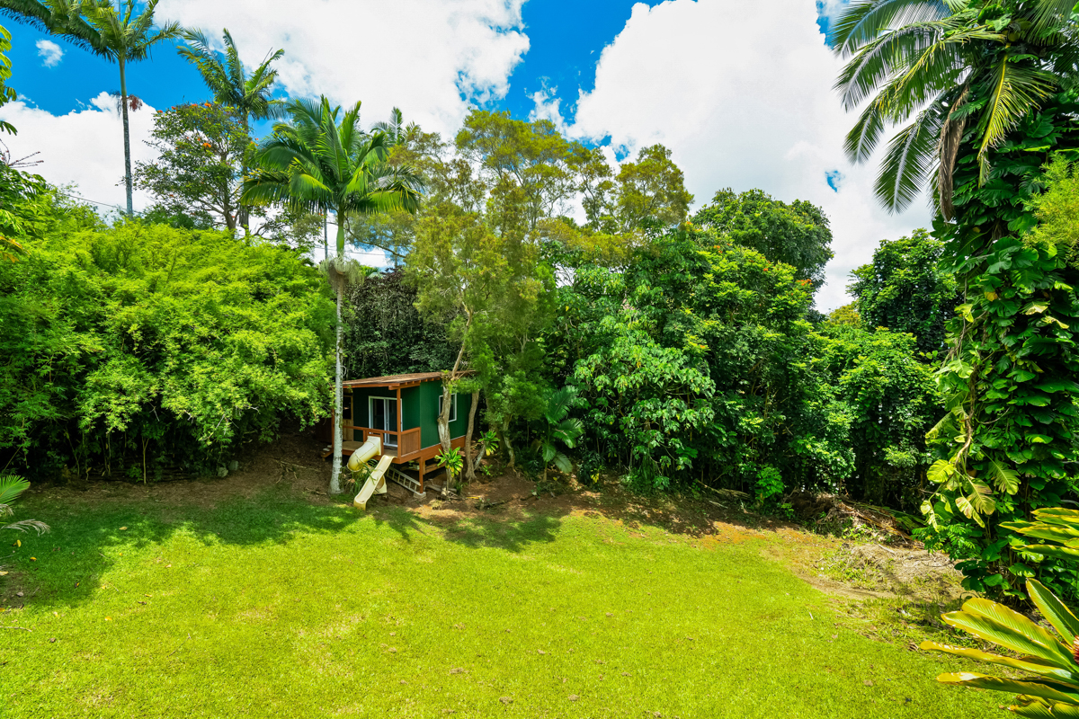 6390 Kalama Road Kapaa, HI 96746 - Photo 13 of 21 a view of a backyard with plants and a patio