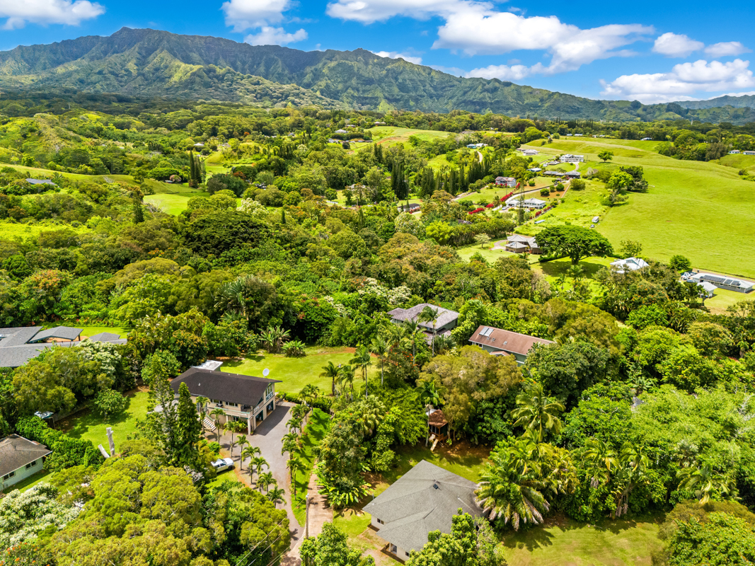 6390 Kalama Road Kapaa, HI 96746 - Photo 16 of 21 a view of a houses with a lush green forest