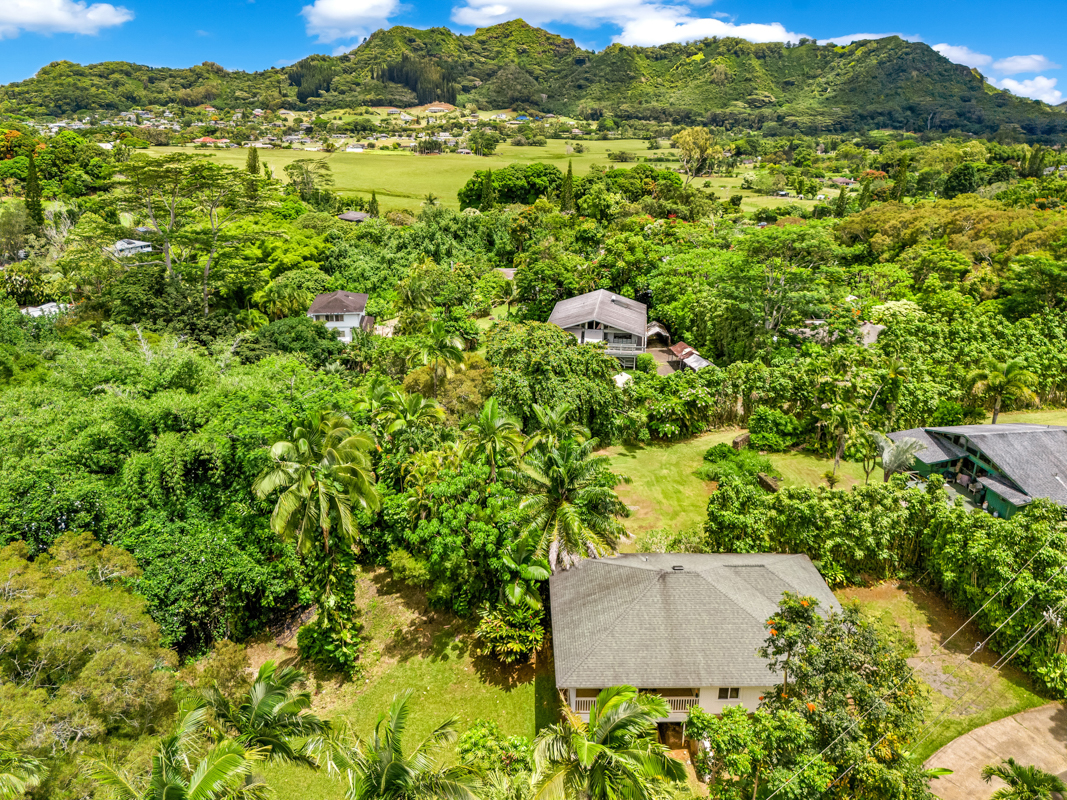 6390 Kalama Road Kapaa, HI 96746 - Photo 18 of 21 a view of a green field with lots of bushes