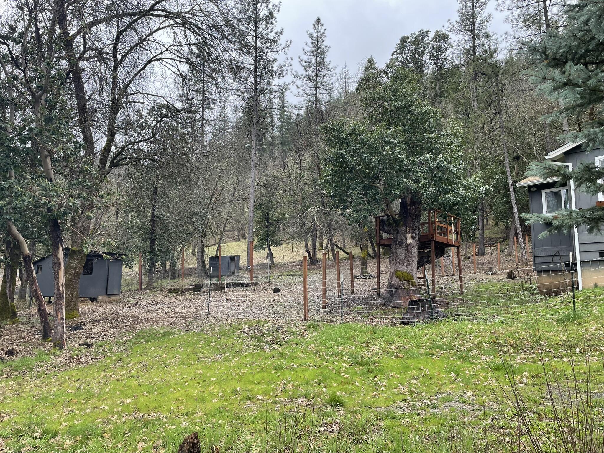 1765 Goose Ranch Road Lewiston, CA 96052 - Photo 50 of 83 a backyard of a house with lots of green space and fountain