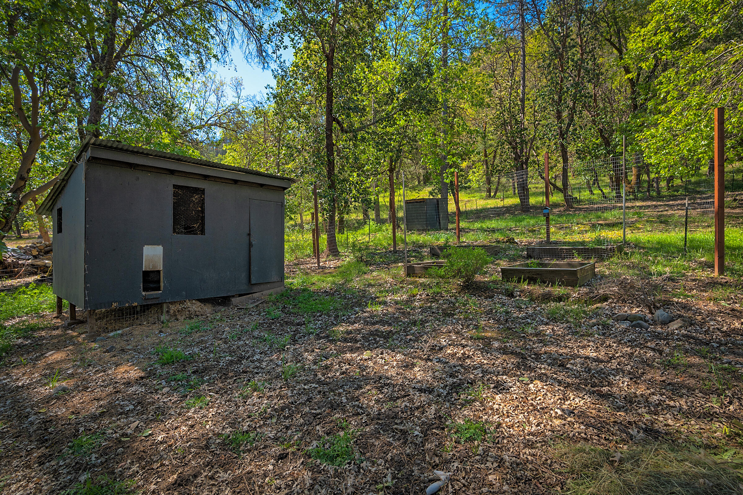 1765 Goose Ranch Road Lewiston, CA 96052 - Photo 70 of 83 a view of a backyard with large trees