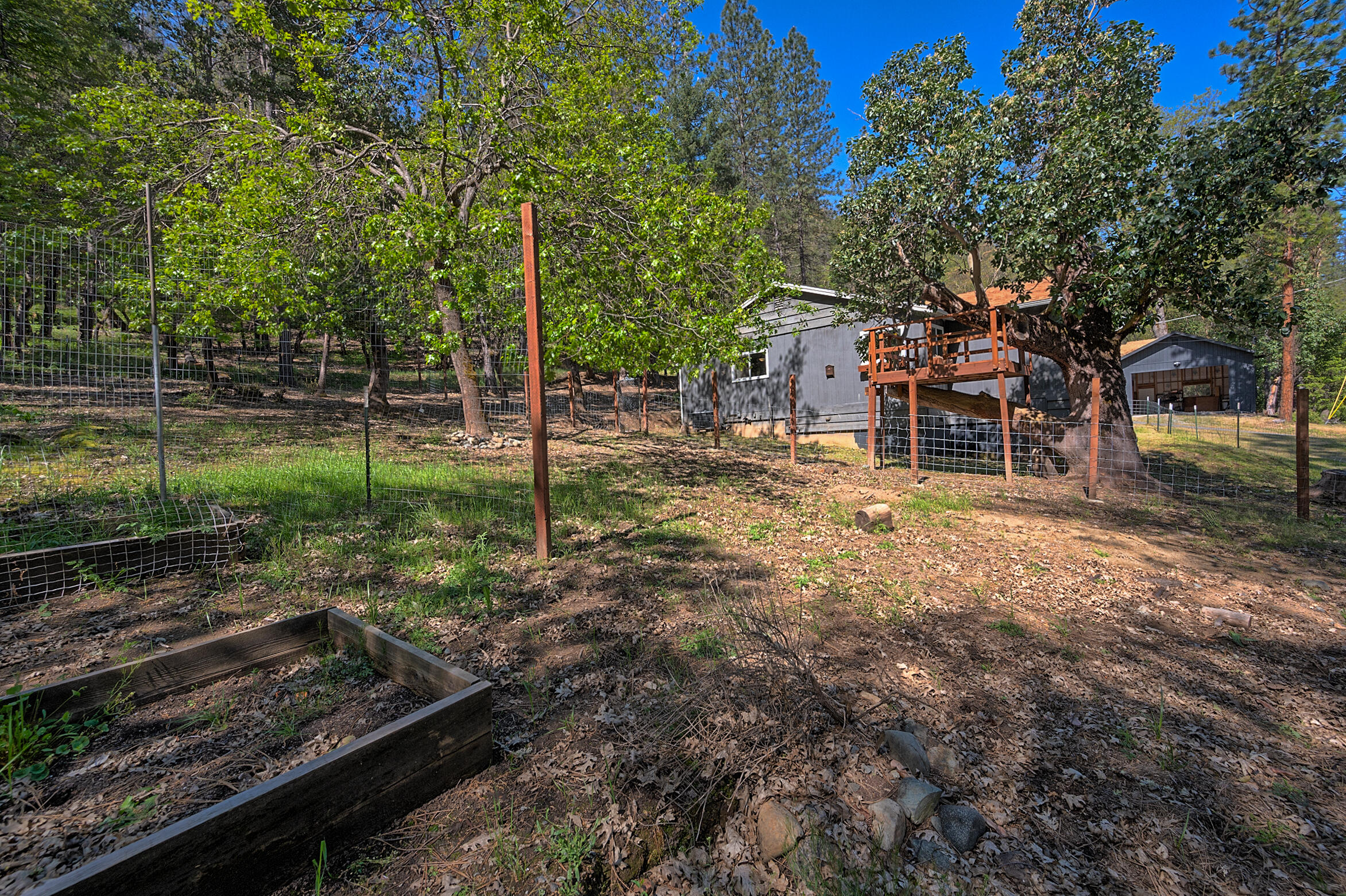 1765 Goose Ranch Road Lewiston, CA 96052 - Photo 71 of 83 a backyard of a house with lots of green space