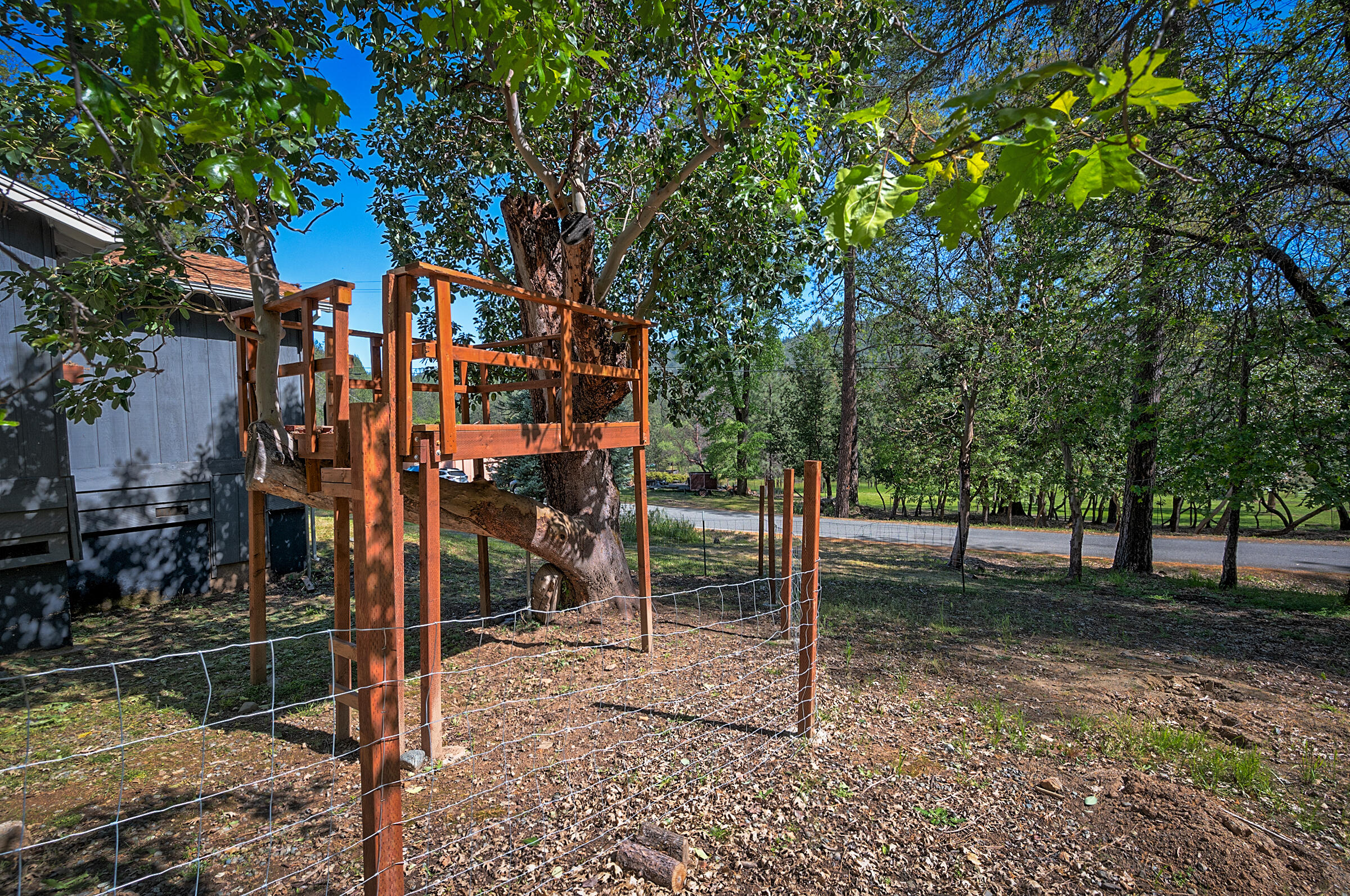 1765 Goose Ranch Road Lewiston, CA 96052 - Photo 72 of 83 a backyard of a house with lots of green space