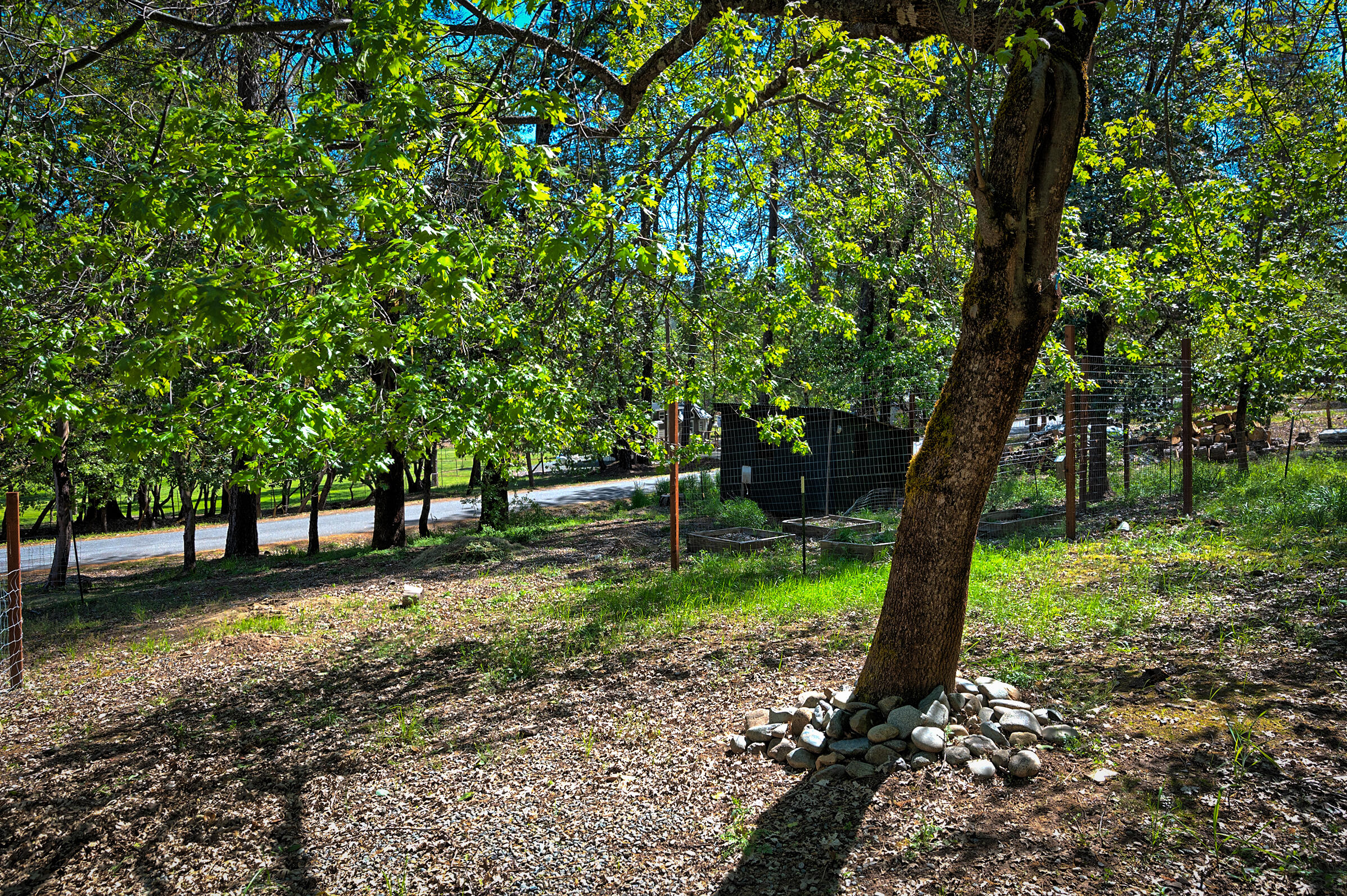 1765 Goose Ranch Road Lewiston, CA 96052 - Photo 75 of 83 a backyard of a house with lots of plants and large tree