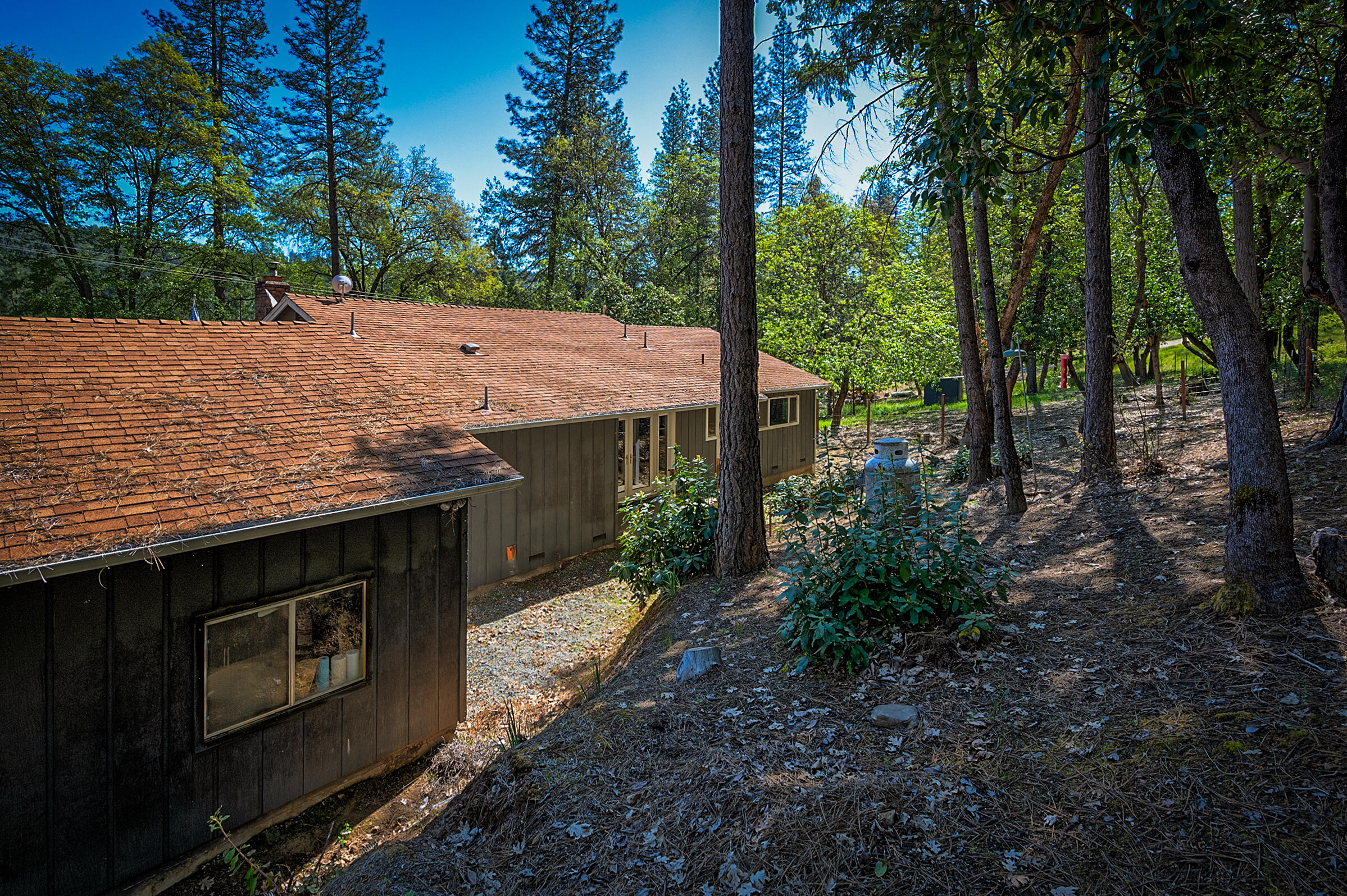 1765 Goose Ranch Road Lewiston, CA 96052 - Photo 77 of 83 a view of a backyard with green space