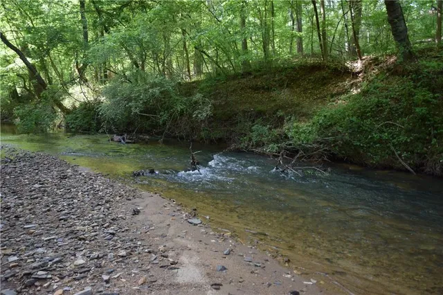 a view of a road with a yard