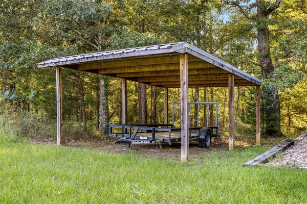 a view of a yard with plants