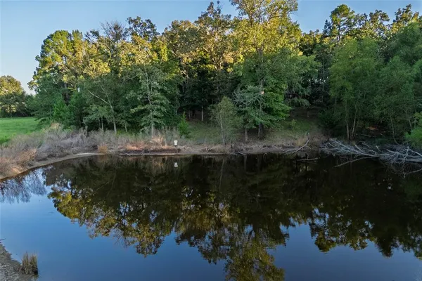 a view of backyard with trees