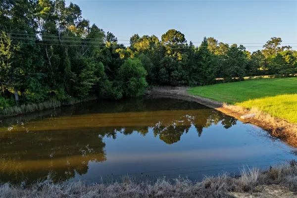 a backyard of a house with lots of trees