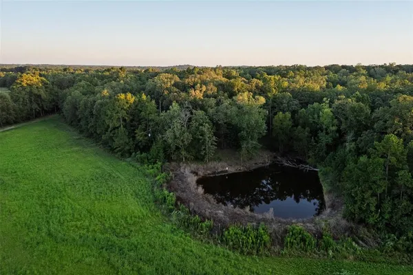 a view of outdoor space and tree