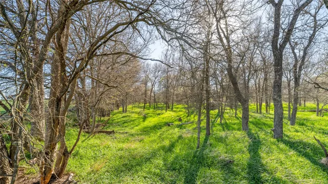 a backyard of a house with lots of green space and garden