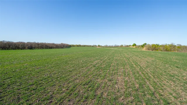 a view of a field with an ocean