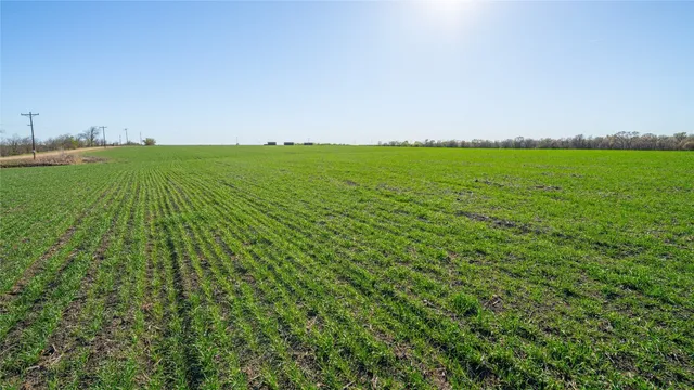 a view of yard with ocean view