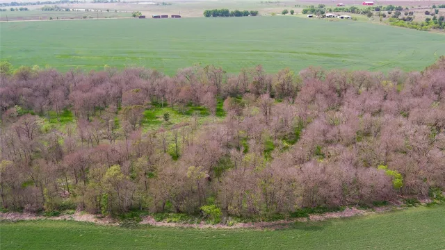 a view of a garden with an outdoor space