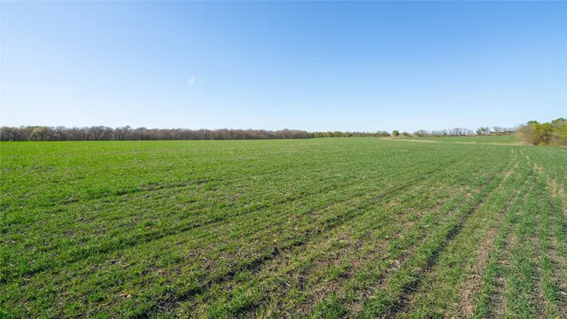 a view of field with grass and trees in the background
