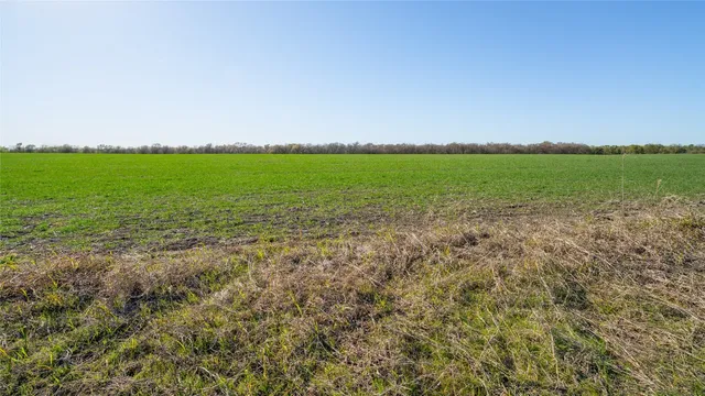 a view of yard with swimming pool and green space