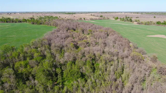 a view of a field with an ocean