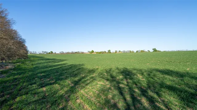a view of a lush green space with sea