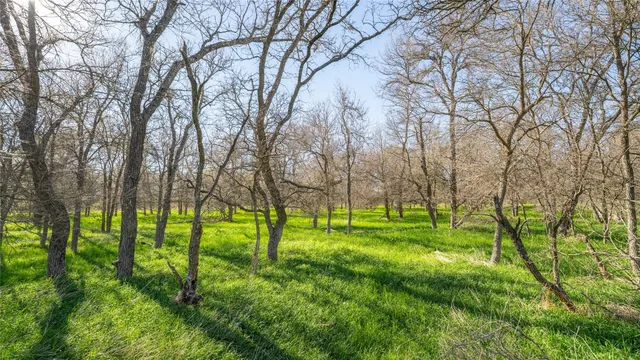 a view of field with trees in the background