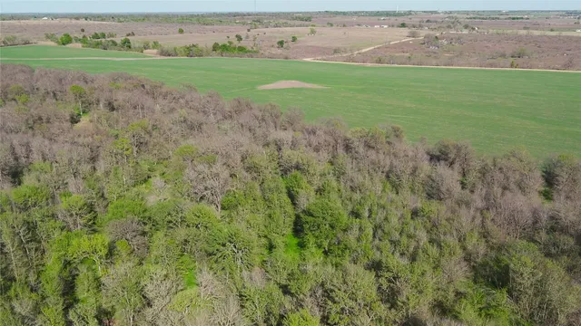 a view of a field with an trees