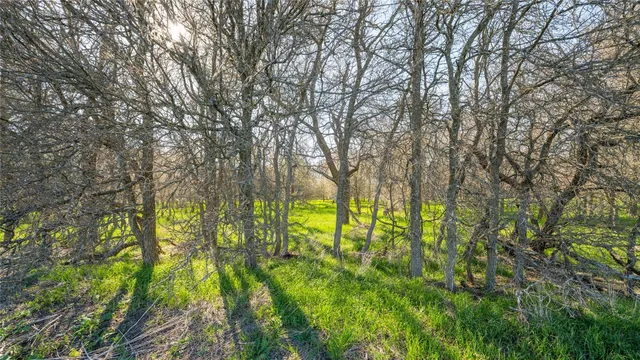 a backyard of a house with lots of green space and trees