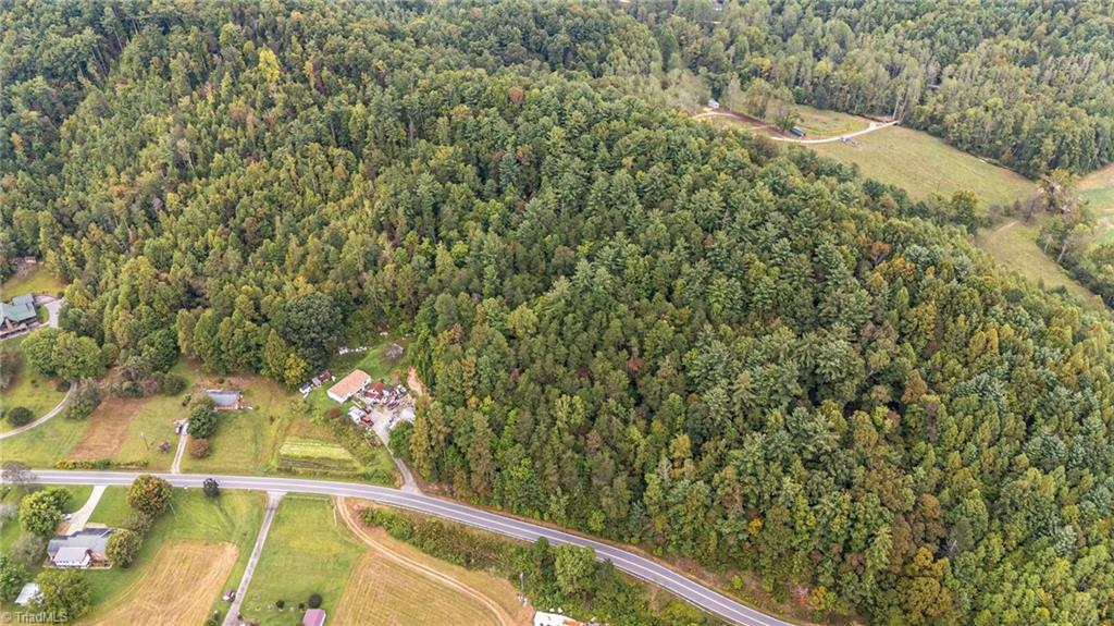 0 Parsonsville Road Purlear, NC 28665 - Photo 11 of 18