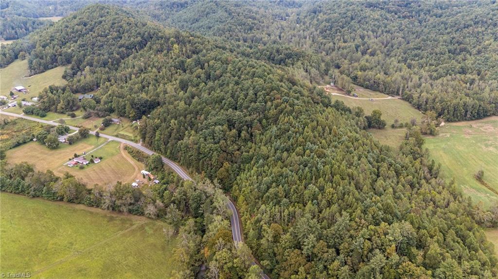 0 Parsonsville Road Purlear, NC 28665 - Photo 12 of 18