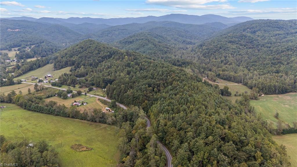 0 Parsonsville Road Purlear, NC 28665 - Photo 13 of 18