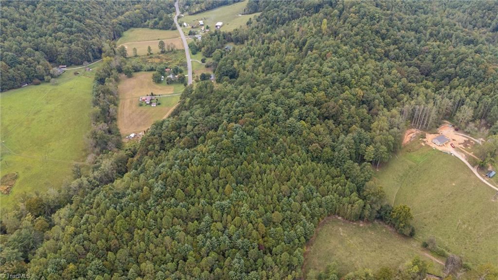 0 Parsonsville Road Purlear, NC 28665 - Photo 14 of 18