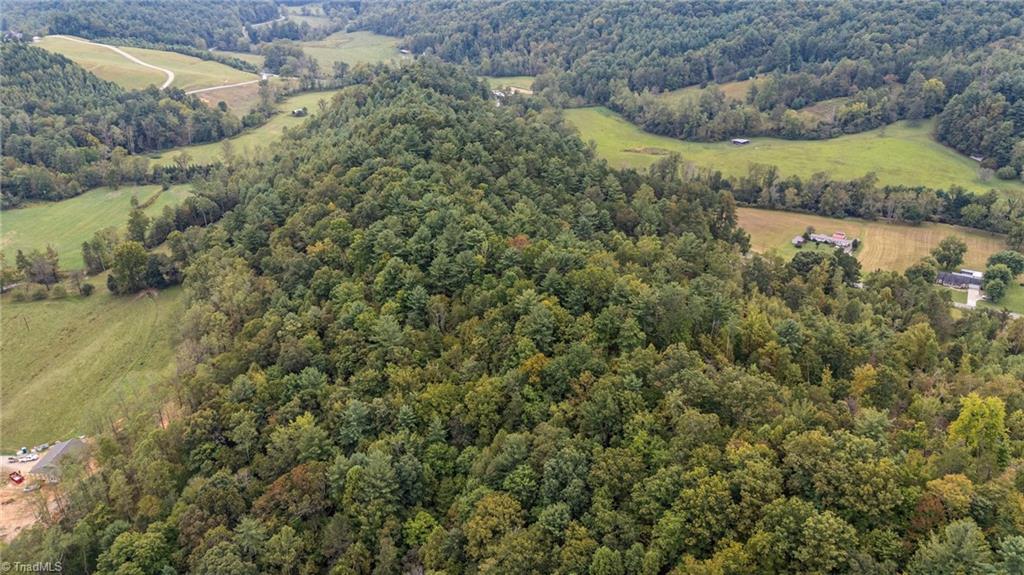 0 Parsonsville Road Purlear, NC 28665 - Photo 15 of 18