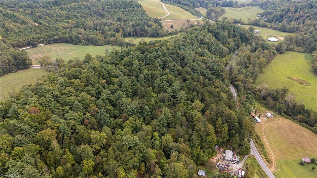 0 Parsonsville Road Purlear, NC 28665 - Photo 16 of 18