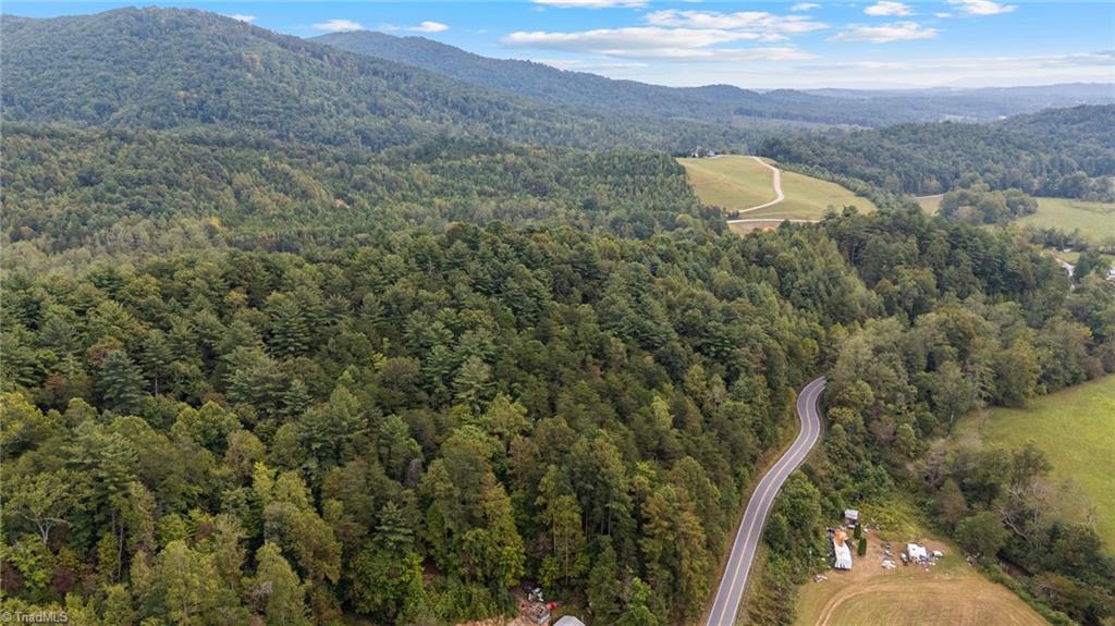 0 Parsonsville Road Purlear, NC 28665 - Photo 17 of 18
