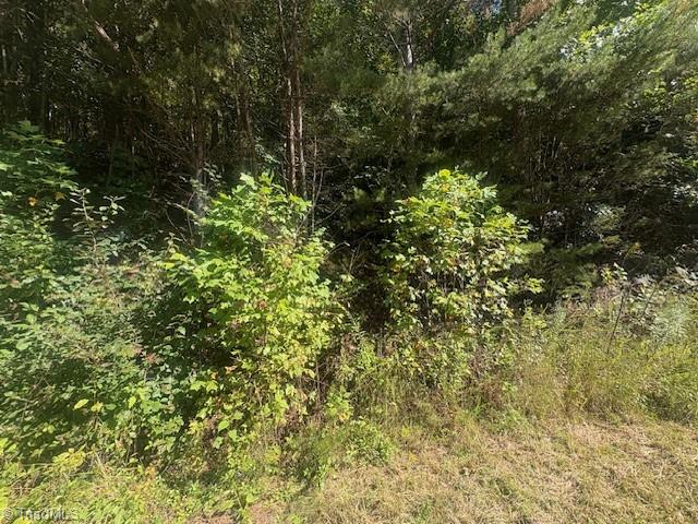 0 Parsonsville Road Purlear, NC 28665 - Photo 2 of 18