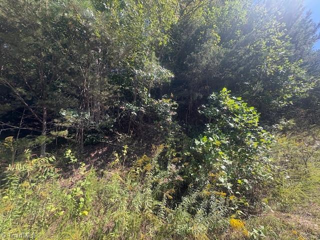 0 Parsonsville Road Purlear, NC 28665 - Photo 3 of 18