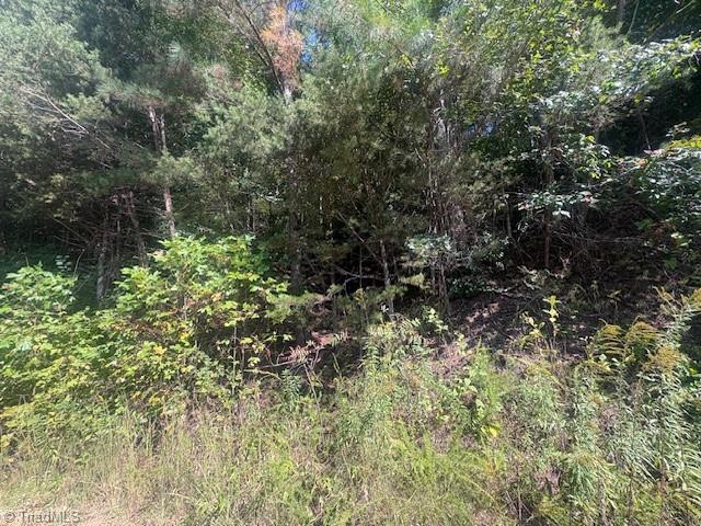 0 Parsonsville Road Purlear, NC 28665 - Photo 4 of 18