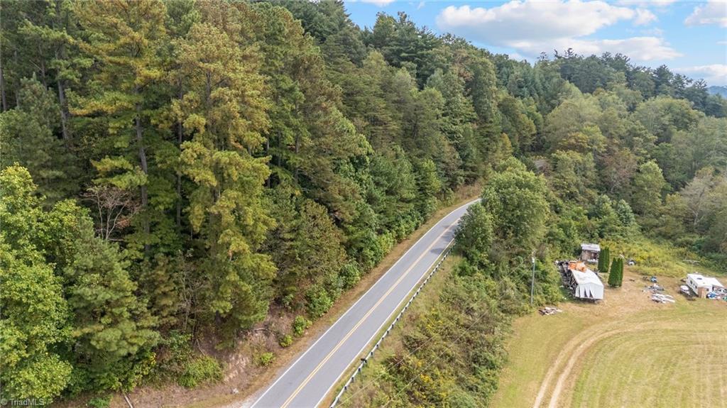 0 Parsonsville Road Purlear, NC 28665 - Photo 7 of 18