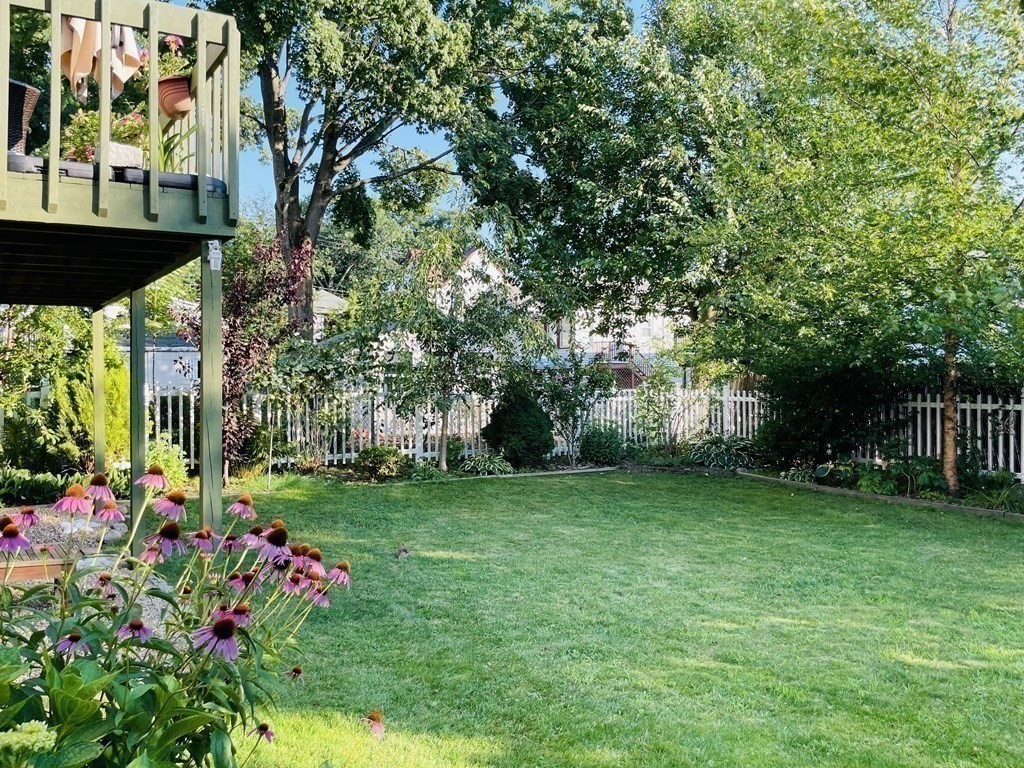 16 Libbey Street Boston, MA 02132 - Photo 37 of 41 a view of a garden with flowers and trees