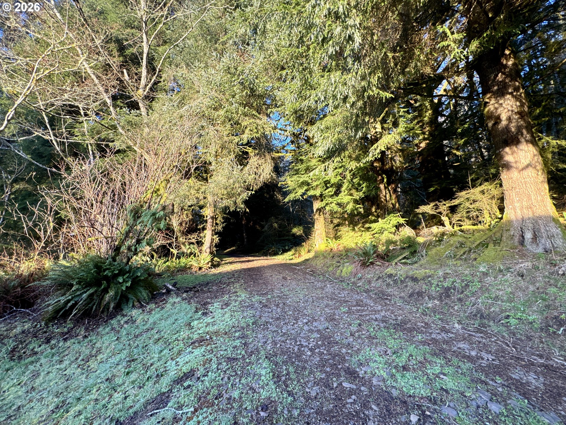 700 Sutton Creek Road Tillamook, OR 97141 - Photo 40 of 45