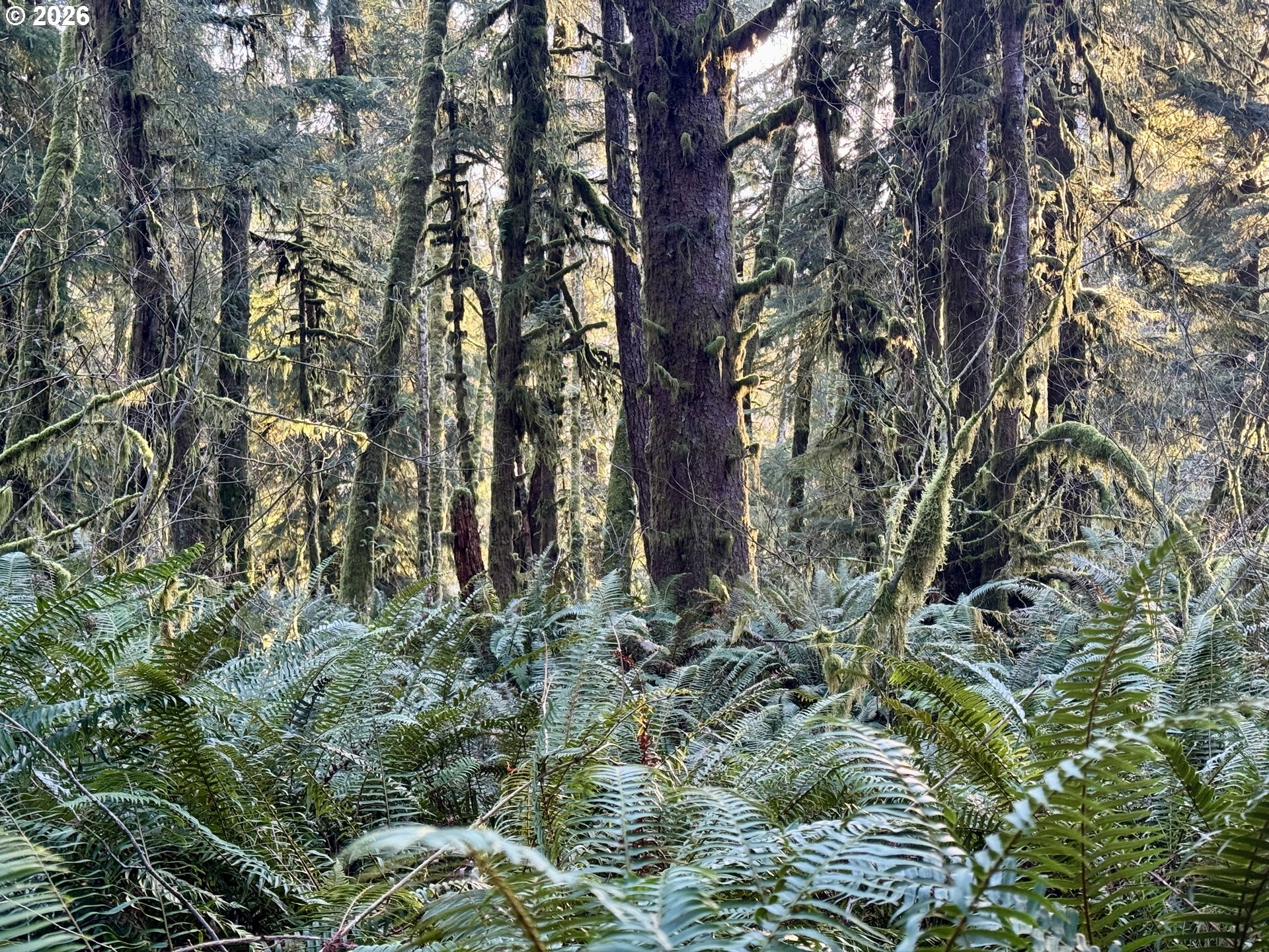 700 Sutton Creek Road Tillamook, OR 97141 - Photo 42 of 45