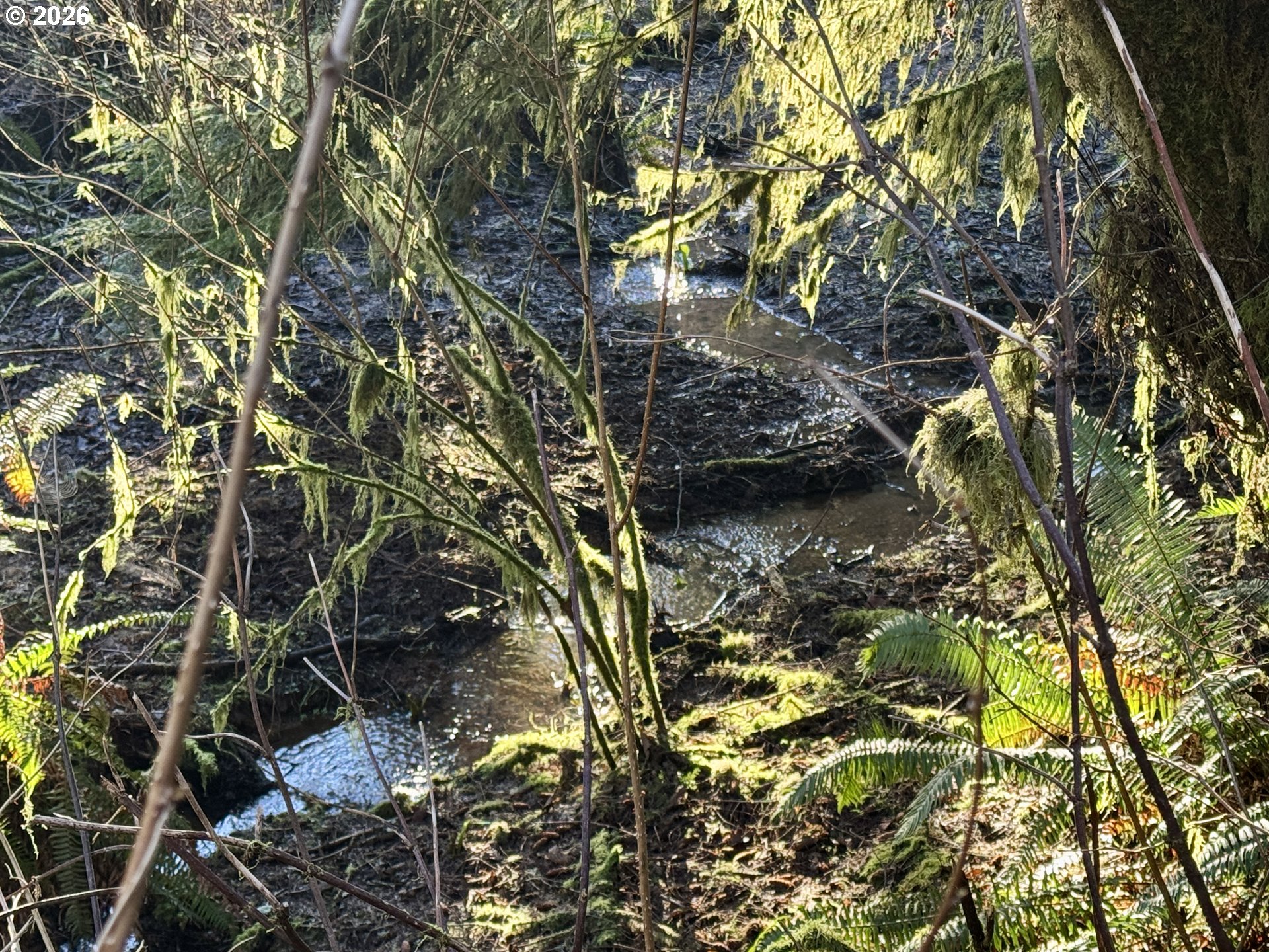 700 Sutton Creek Road Tillamook, OR 97141 - Photo 44 of 45