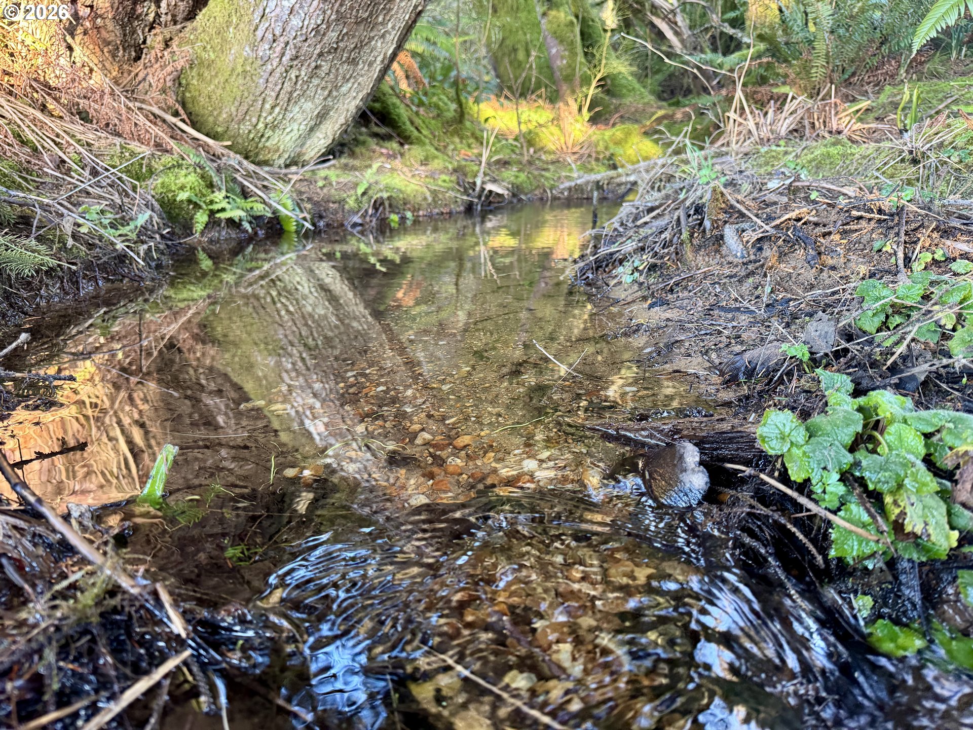 700 Sutton Creek Road Tillamook, OR 97141 - Photo 45 of 45