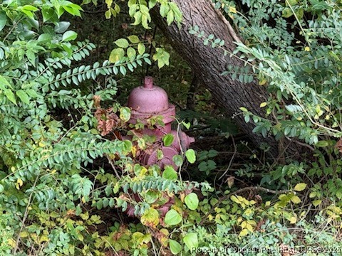 Tbd Galestown Road Rockingham, NC 28379 - Photo 5 of 5